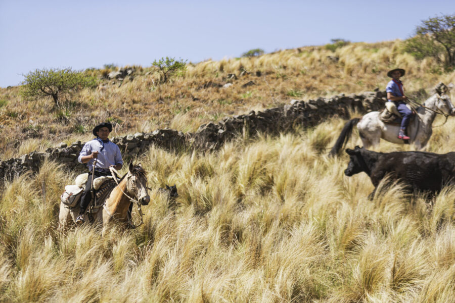 Estancia ride in Sierras Chicas, Argentina - Globetrotting horse riding holidays