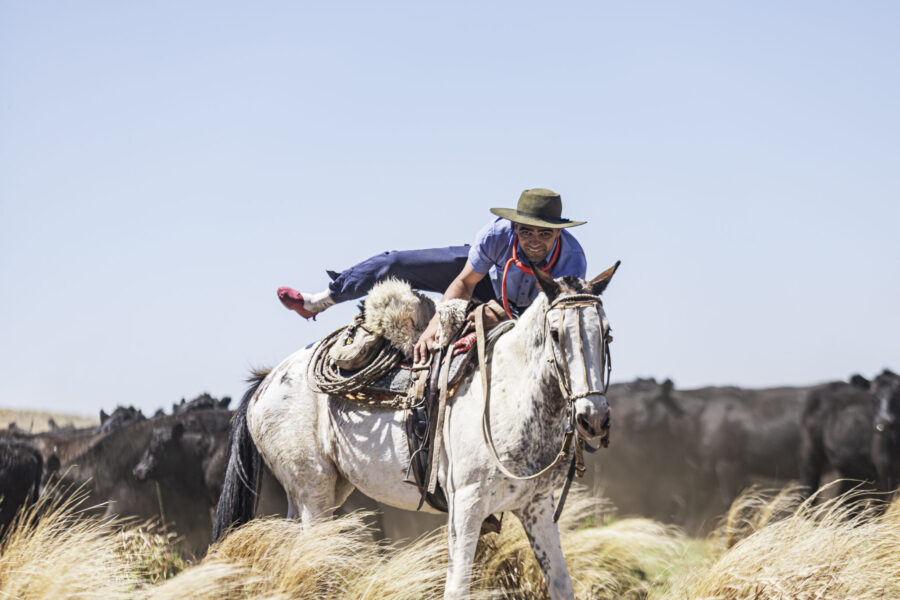 Estancia ride in Sierras Chicas, Argentina - Globetrotting horse riding holidays