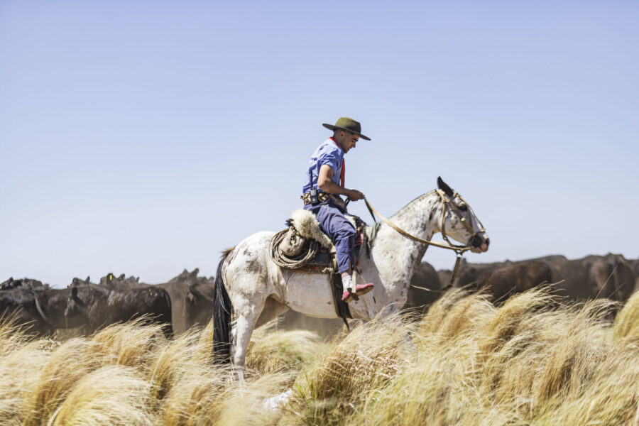 Estancia ride in Sierras Chicas, Argentina - Globetrotting horse riding holidays