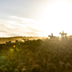 Estancia ride in Sierras Chicas, Argentina - Globetrotting horse riding holidays