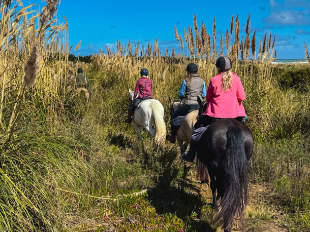 Twin Coast Adventure, New Zealand, Globetrotting Horse Riding Holidays