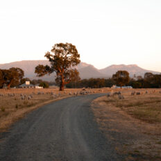 The Grampians Ride, Victoria, Australia - Globetrotting horse riding holidays