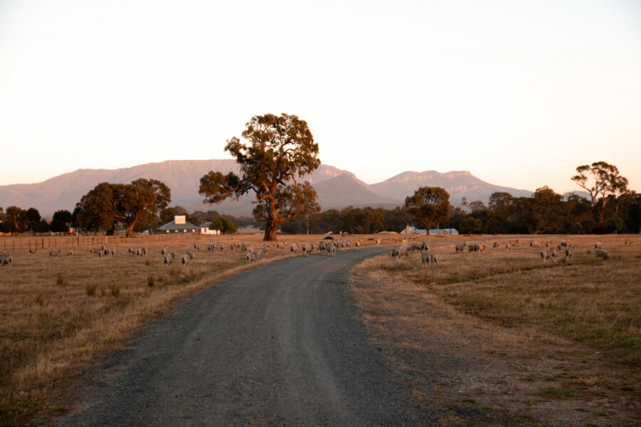 The Grampians Ride, Victoria, Australia - Globetrotting horse riding holidays