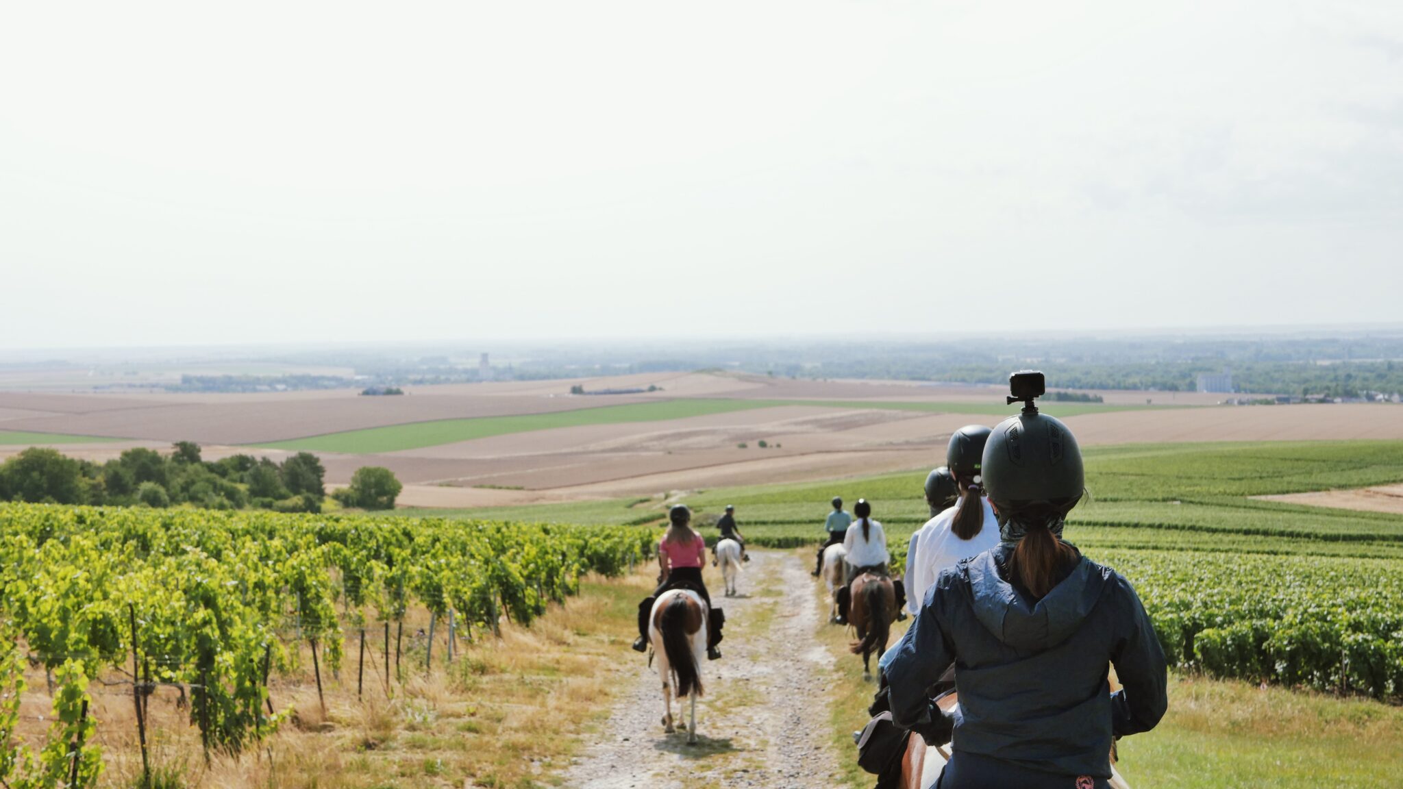 THE CHAMPAGNE RIDE, FRANCE, GLOBETROTTING HORSE RIDI NG HOLIDAYS