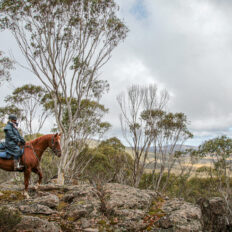 The Kosciuszko Ride, New South Wales, Australia - Globetrotting horse riding holidays