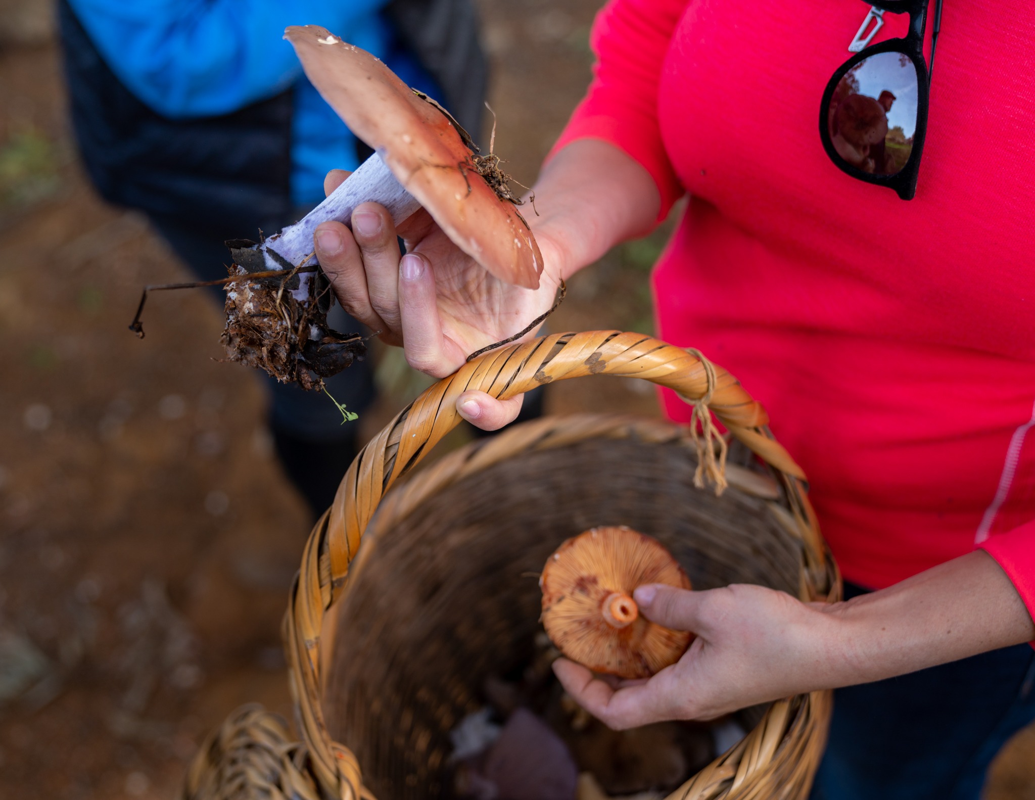 horse riding holiday in Costa Azul, Portugal