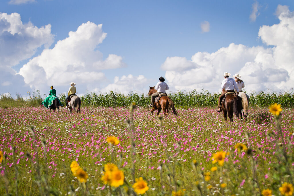 El Rancho Ride, Mexico - Globetrotting horse riding holidays