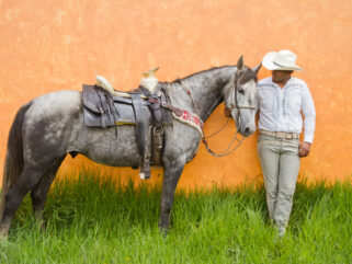 El Rancho Ride, Mexico - Globetrotting horse riding holidays