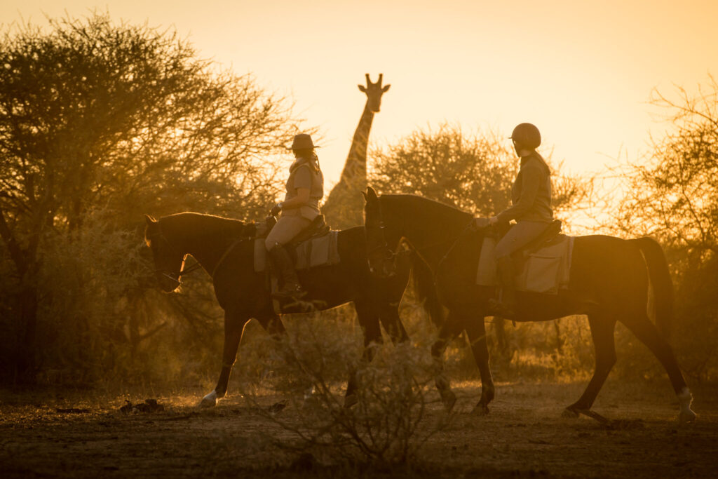 The Bushveld safari, South Africa - Globetrotting horse riding holidays