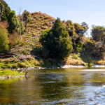 horseback river crossing new zealand horse riding holiday by globetrotting