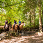 horse riding holiday Scotland