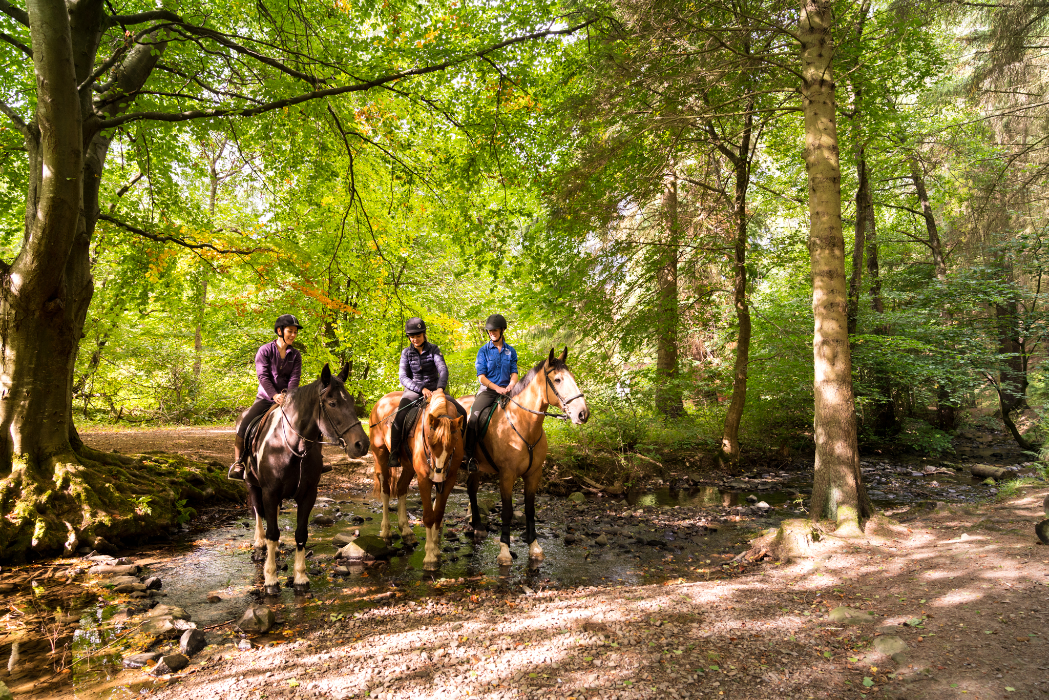 horse riding holiday Scotland
