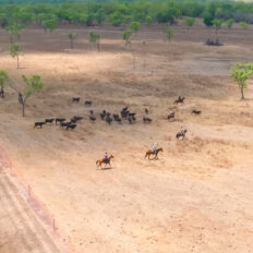 The Top End Ride - horse riding holiday Northern Territory - Globetrotting
