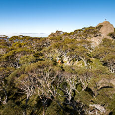 The Snowy River Ride, Victoria, Australia - Globetrotting horse riding holidays