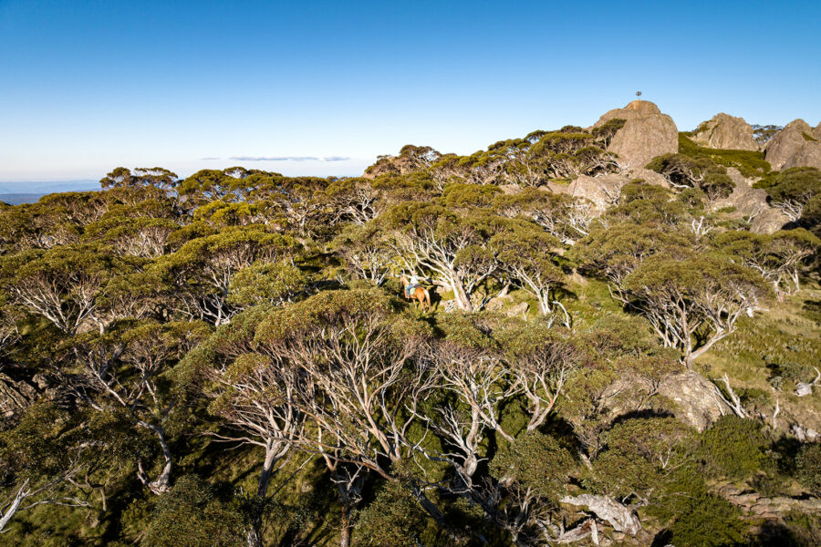 The Snowy River Ride, Victoria, Australia - Globetrotting horse riding holidays