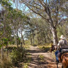 The Snowy River Ride, Victoria, Australia - Globetrotting horse riding holidays