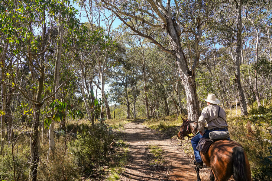 The Snowy River Ride, Victoria, Australia - Globetrotting horse riding holidays