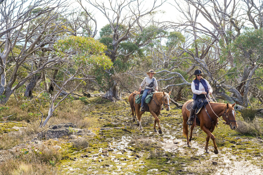 The Snowy River Ride, Victoria, Australia - Globetrotting horse riding holidays
