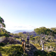 The Snowy River Ride, Victoria, Australia - Globetrotting horse riding holidays
