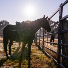The Snowy River Ride, Victoria, Australia - Globetrotting horse riding holidays