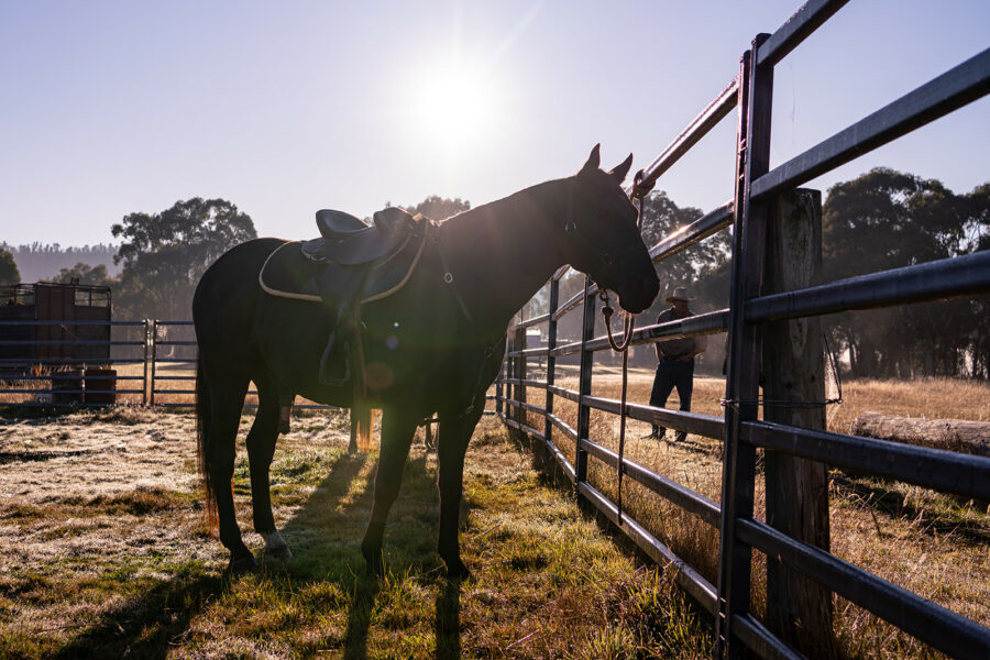 The Snowy River Ride, Victoria, Australia - Globetrotting horse riding holidays