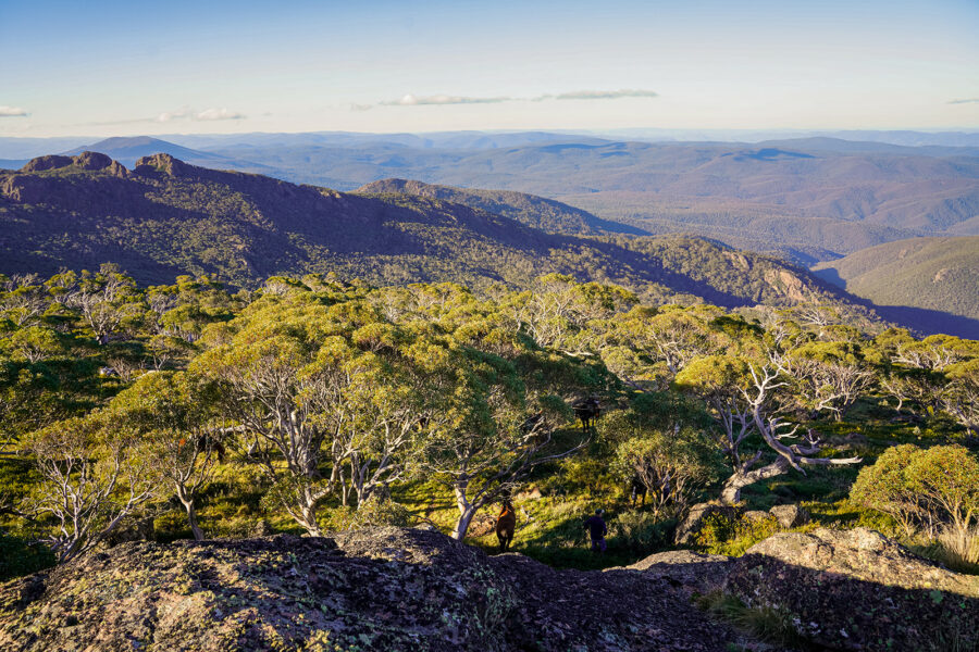 The Snowy River Ride, Victoria, Australia - Globetrotting horse riding holidays