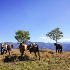 The Snowy River Ride, Victoria, Australia - Globetrotting horse riding holidays