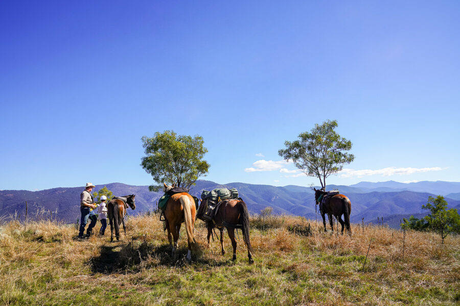 The Snowy River Ride, Victoria, Australia - Globetrotting horse riding holidays