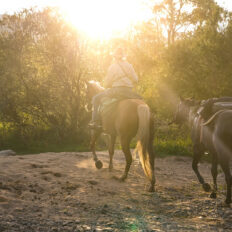 The Snowy River Ride, Victoria, Australia - Globetrotting horse riding holidays