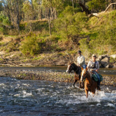 The Snowy River Ride, Victoria, Australia - Globetrotting horse riding holidays