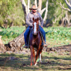 The Top End Ride - horse riding holiday Northern Territory - Globetrotting