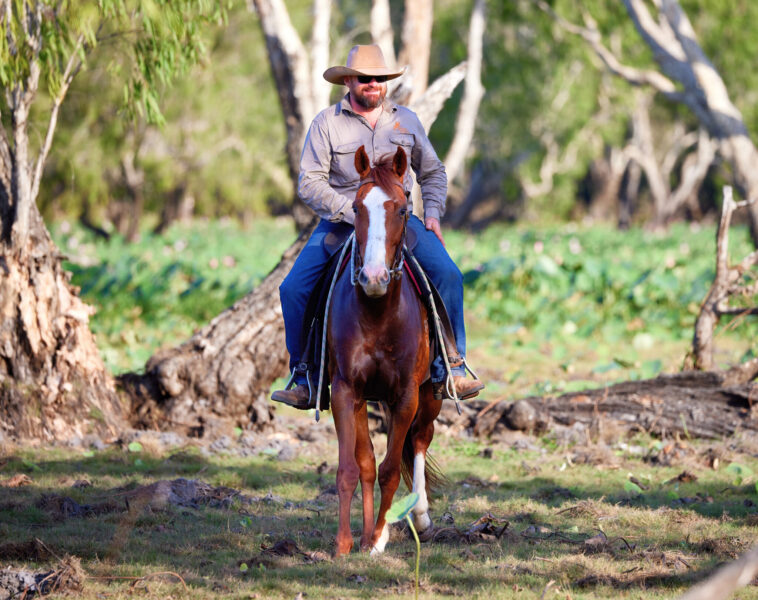 The Top End Ride - horse riding holiday Northern Territory - Globetrotting