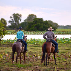 horse riding holiday Northern Territory