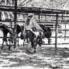 horse riding holiday Northern Territory