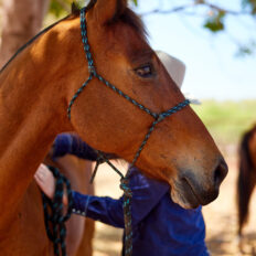 The Top End Ride - horse riding holiday Northern Territory - Globetrotting