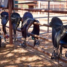 horse riding holiday Northern Territory