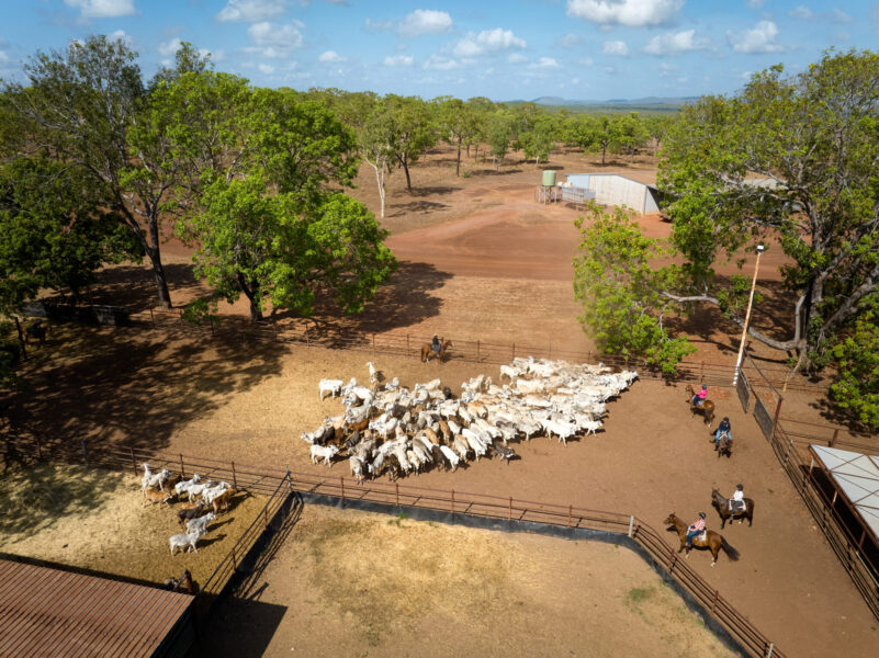 horse riding holiday Northern Territory