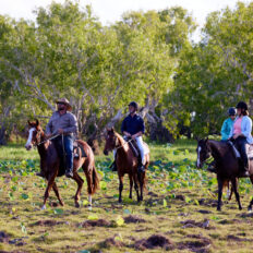 horse riding holiday Northern Territory