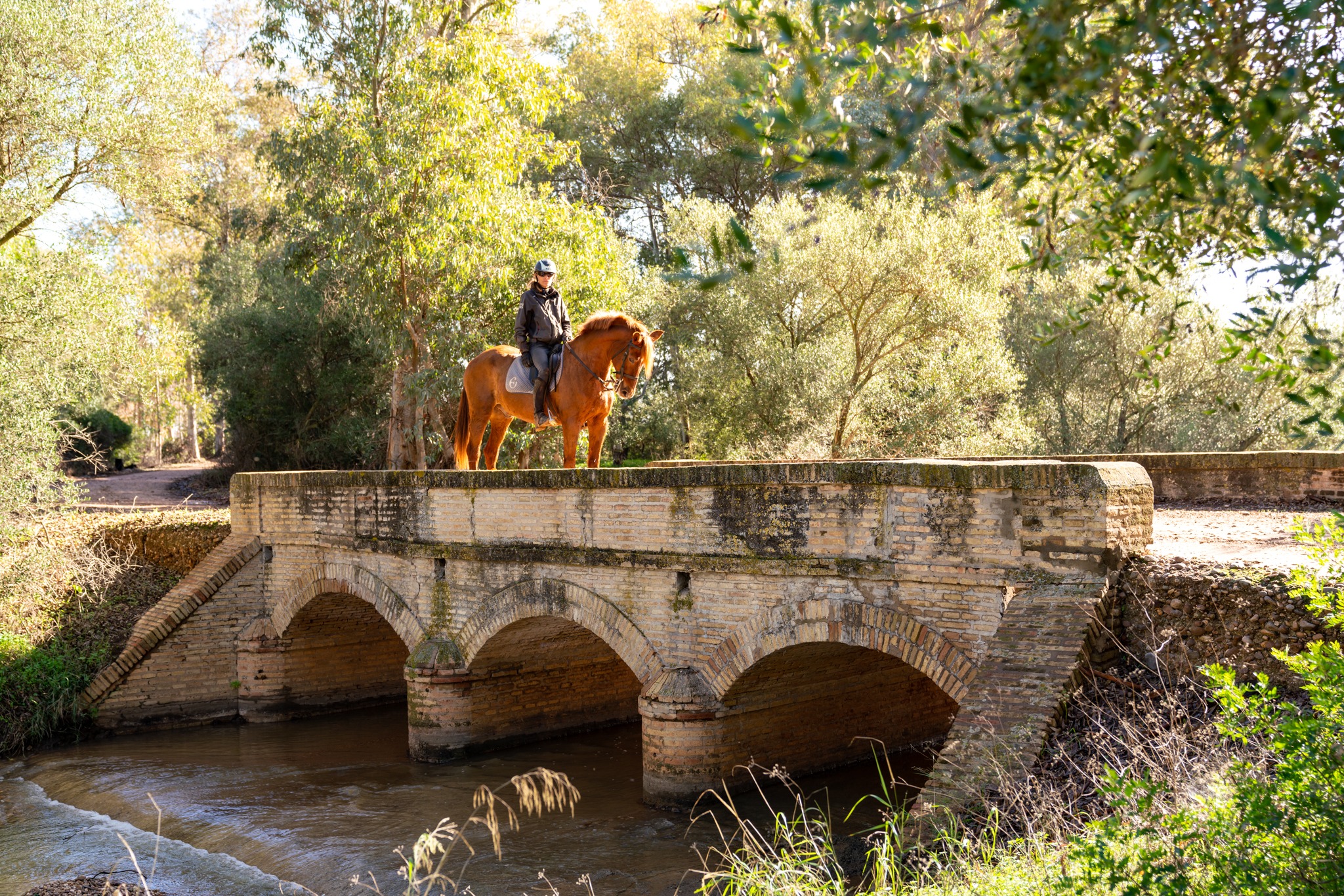 dressage horse riding holiday in Andalusia, Spain