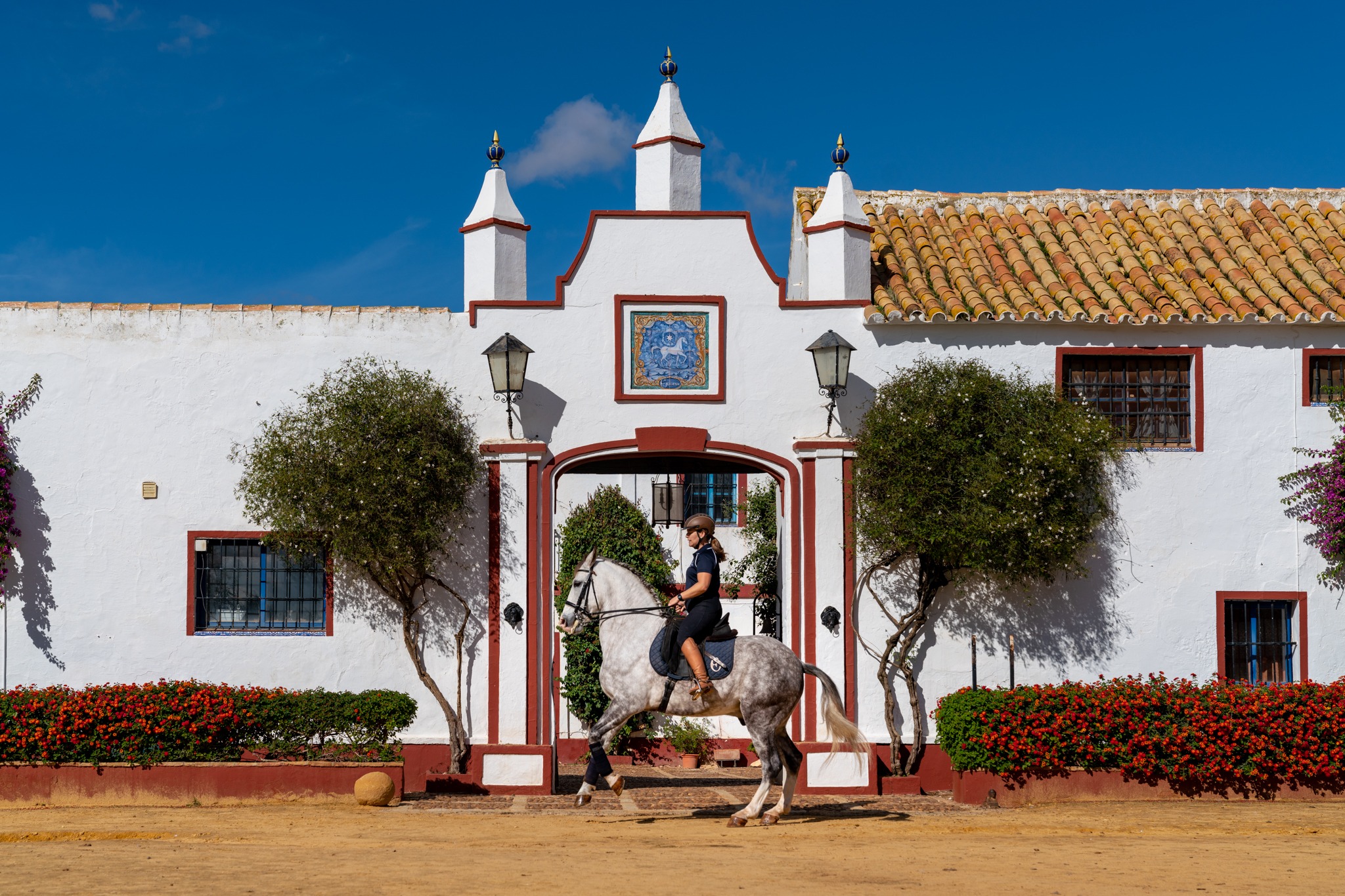 dressage horse riding holiday in Andalusia, Spain
