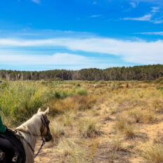Twin Coast Adventure, New Zealand - Globetrotting horse riding holidays