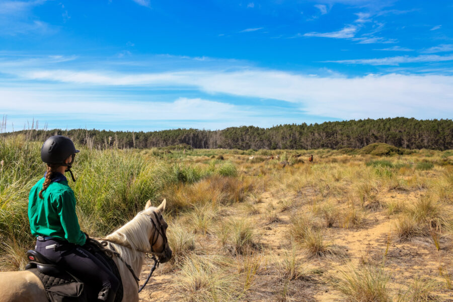 Twin Coast Adventure, New Zealand - Globetrotting horse riding holidays