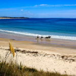 Twin Coast Adventure, North Island, New Zealand - Globetrotting horse riding holidays