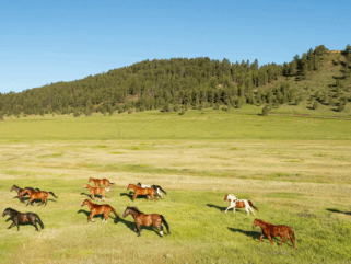Ranch Ride in Hobson, Montana - Globetrotting horse riding holidays