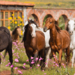 El Rancho Ride, Mexico - Globetrotting horse riding holidays