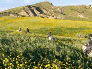 Sicily, Italy - Globetrotting horse riding holidays