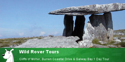 Wild Rover Tours